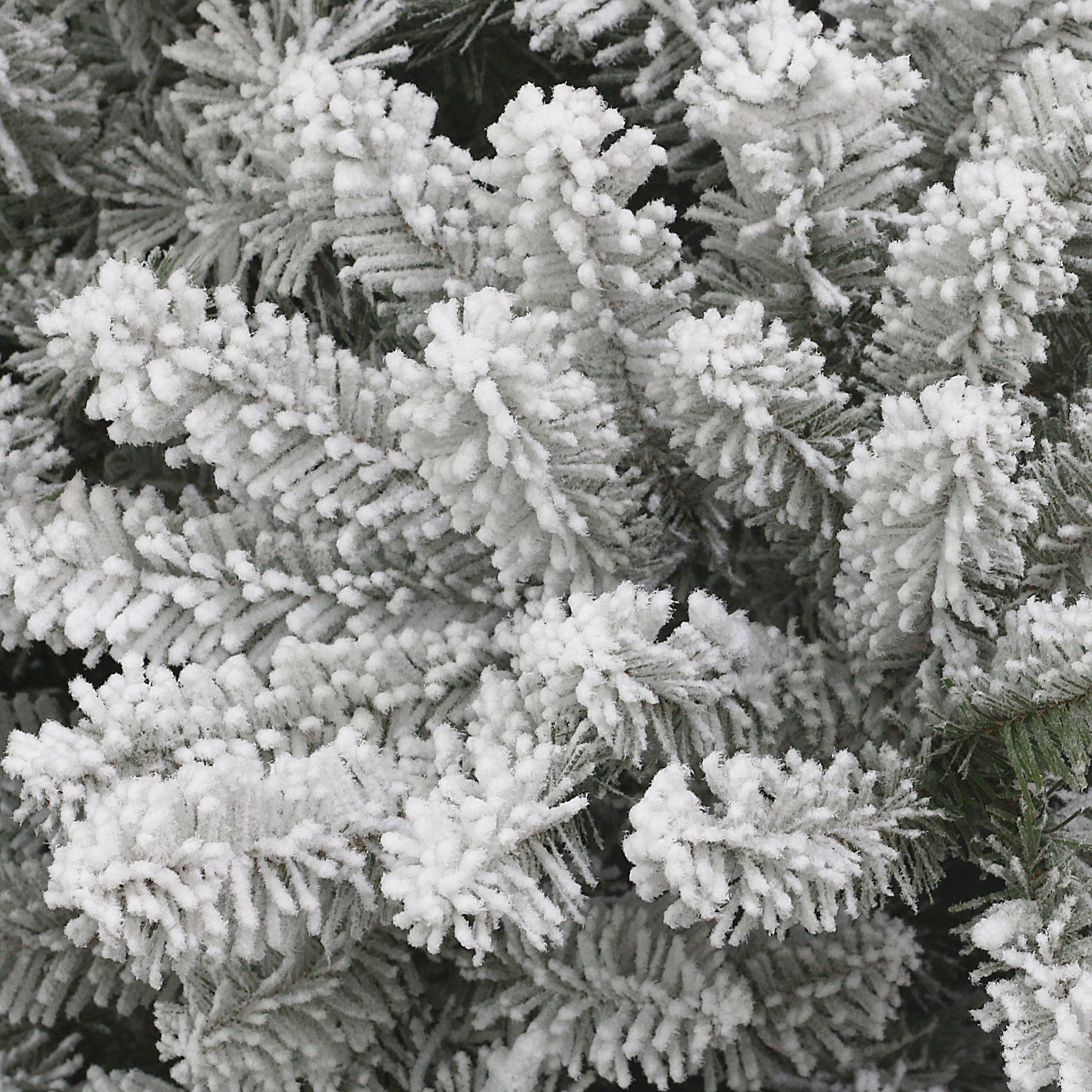 6.5ft Pre-Lit Flocked Royal Majestic Frase Fir Tree